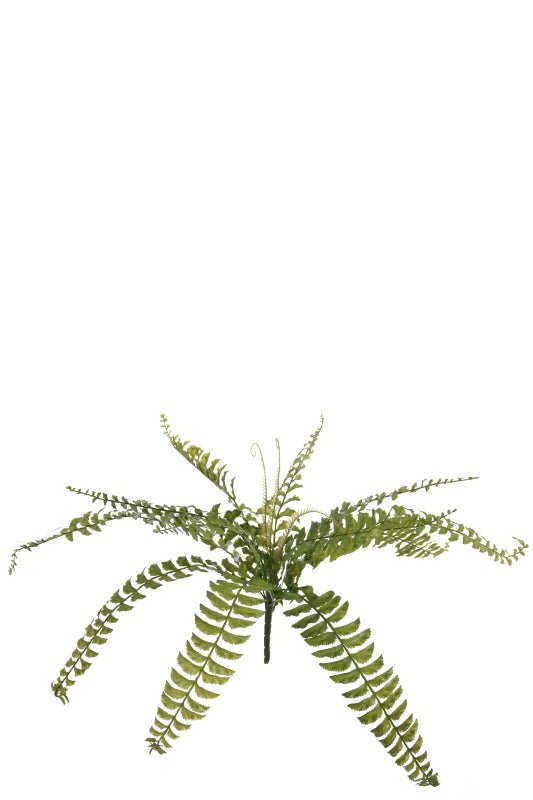 Fern Bouquet