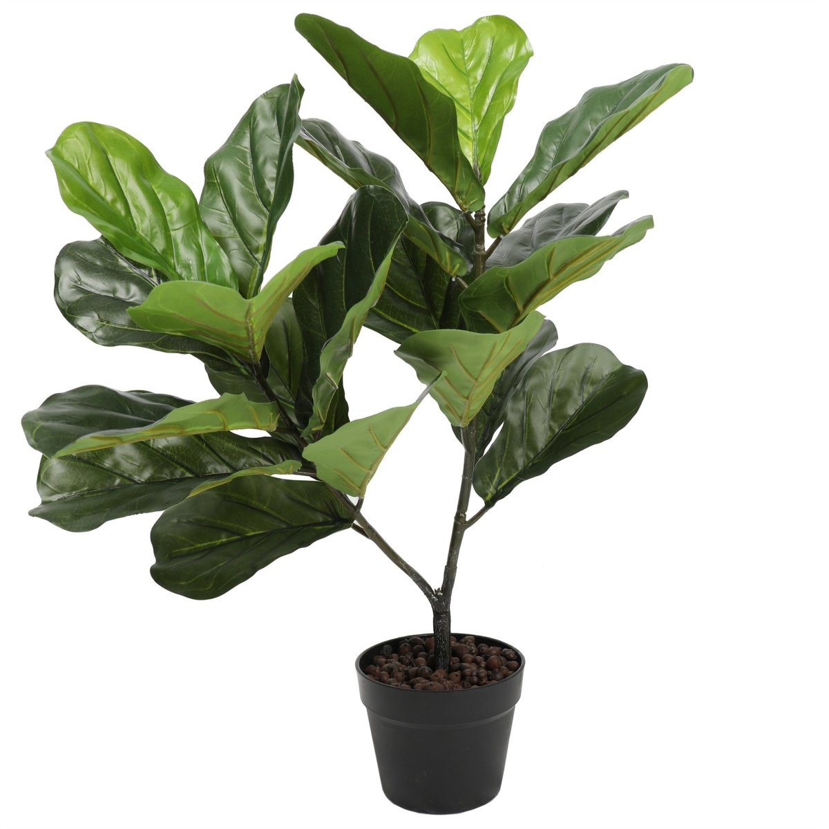 Fiddle Fig Leaf Tree - 30 Inch