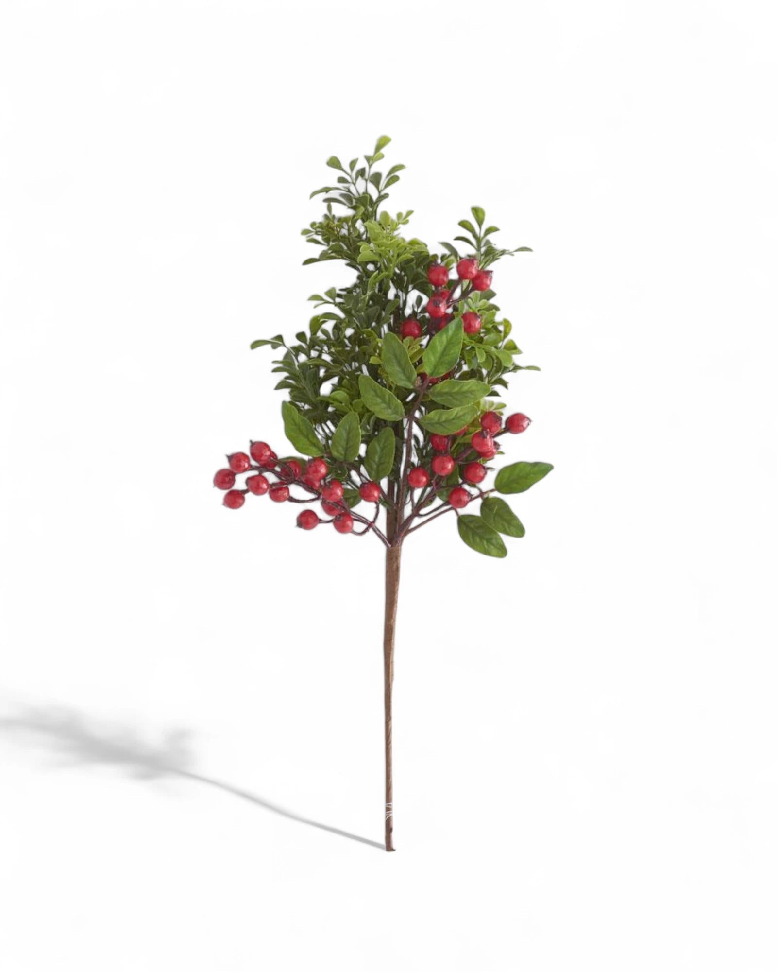 20 Inch Mixed Boxwood and Red Berry Stem