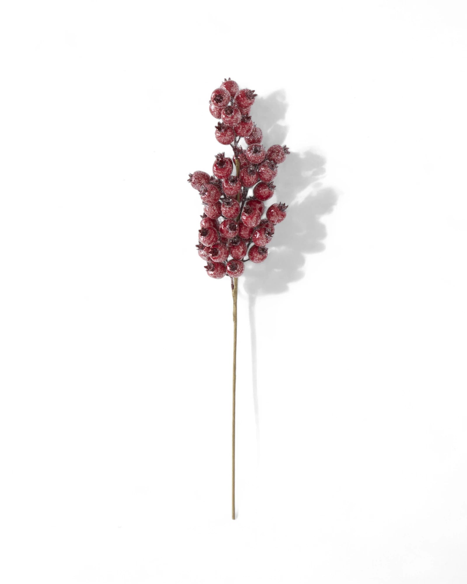 24 Inch Glittered Red Rosehip Stem