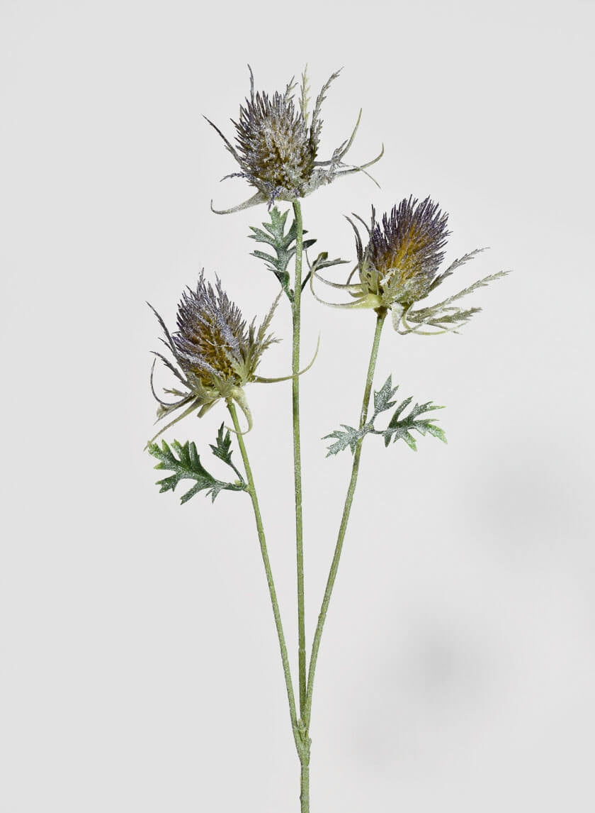 28 ½ in Large Thistle Spray