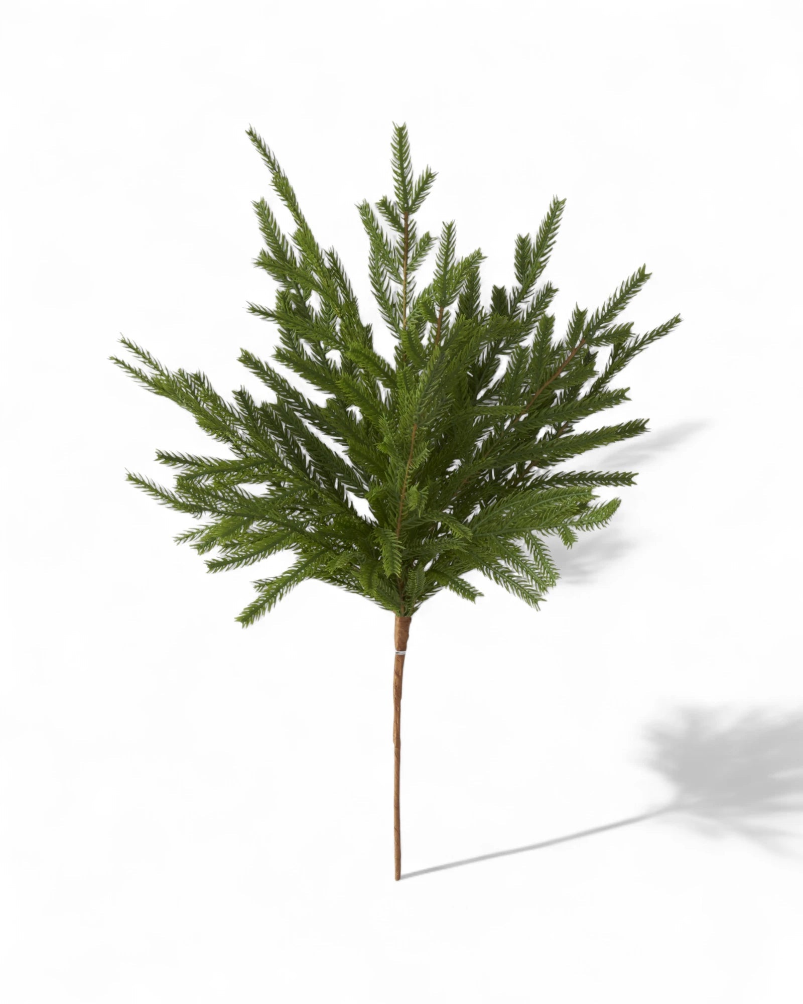19 Inch Real Touch Norfolk Pine Stem