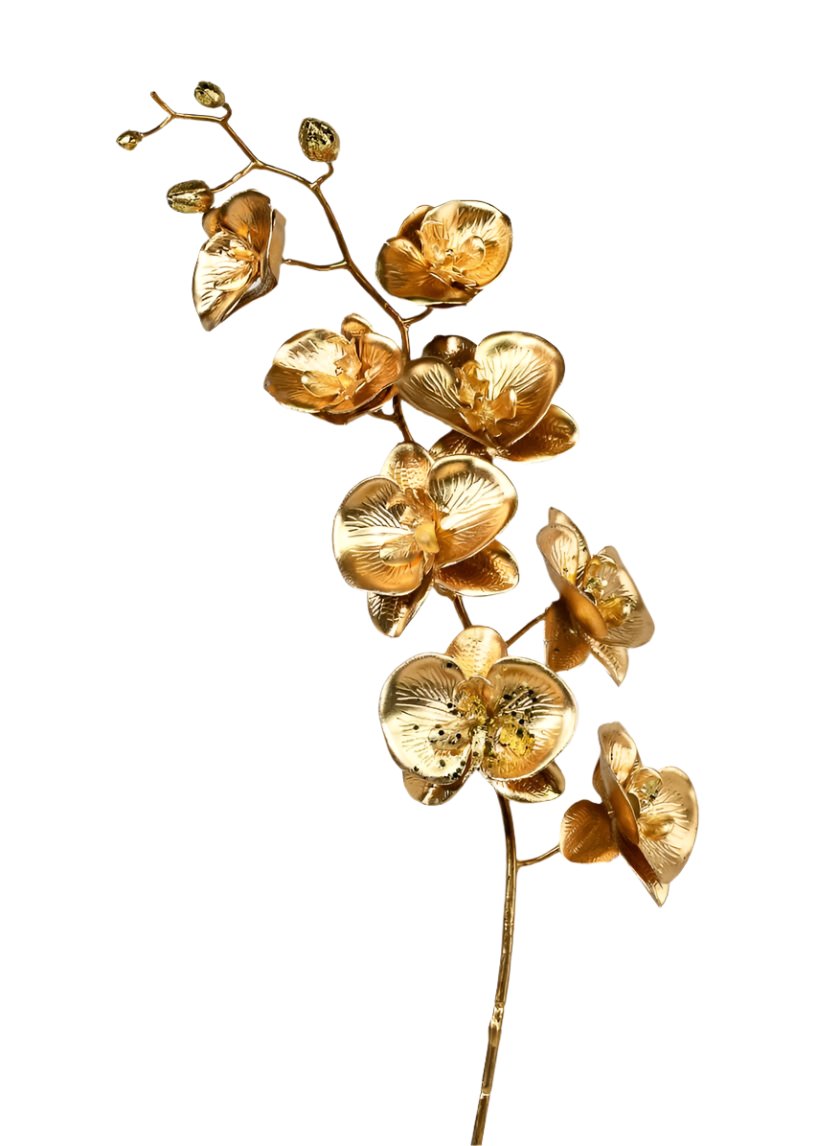 Metallic Gold Phalaenopsis Orchid Stem