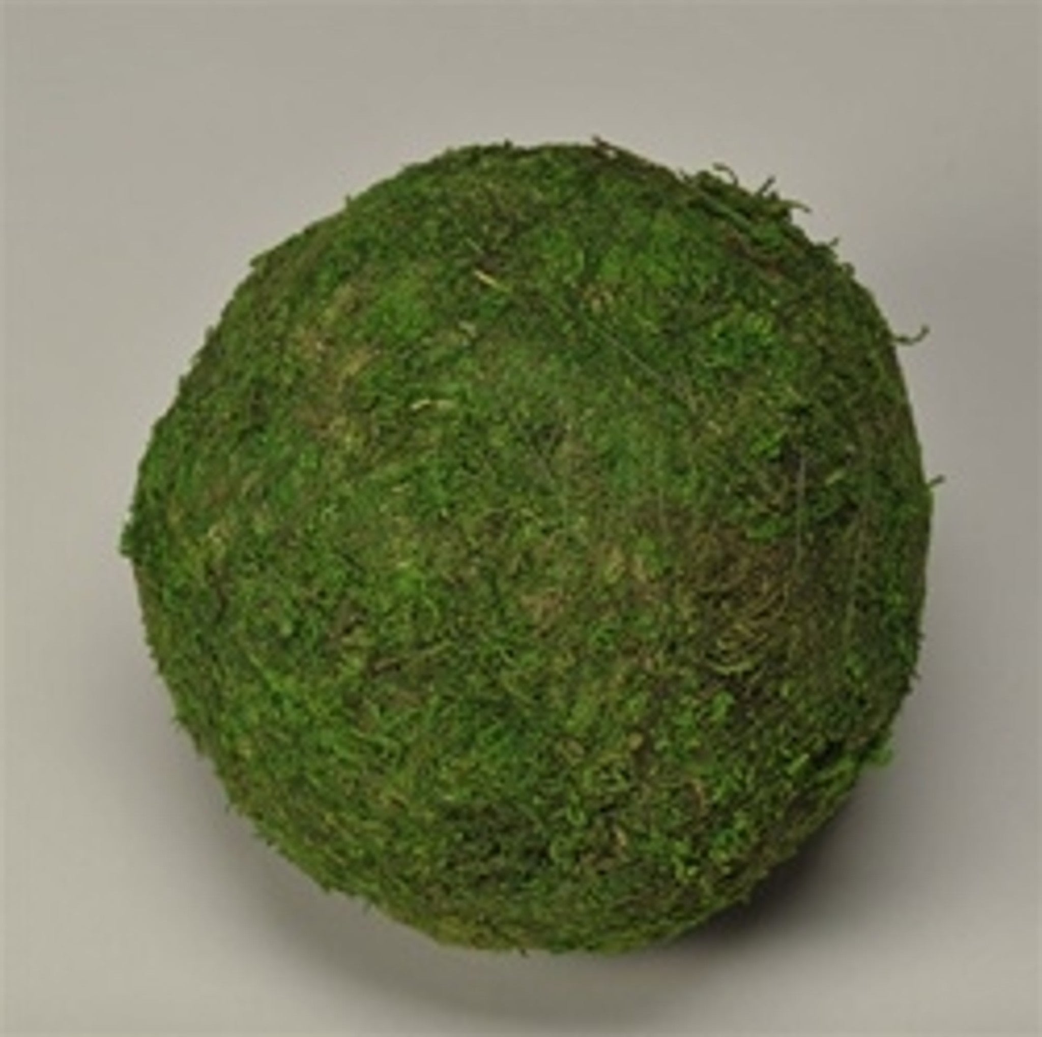 Moss Ball - Green 4" - Packed 6