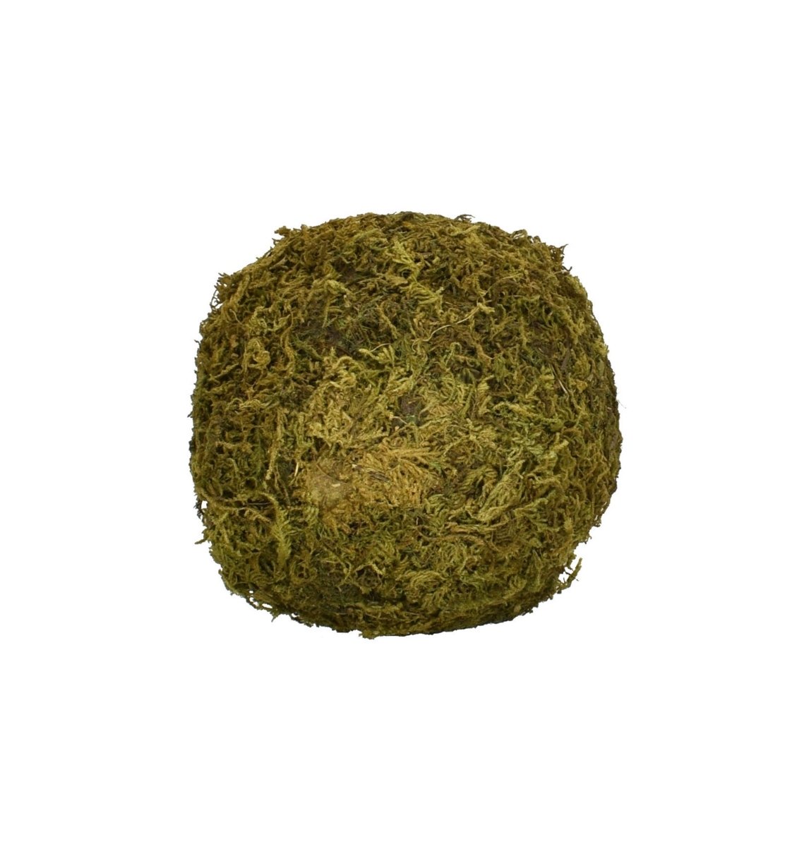 Mossy Sphere - 6 Inch