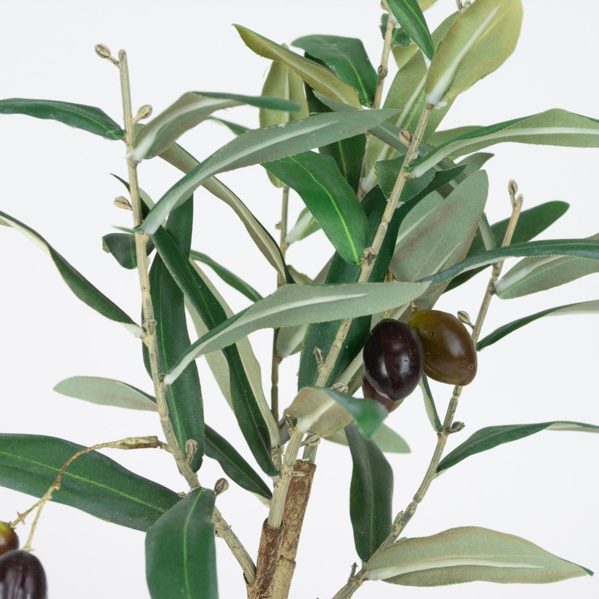 Olive Leaf 12" Tree