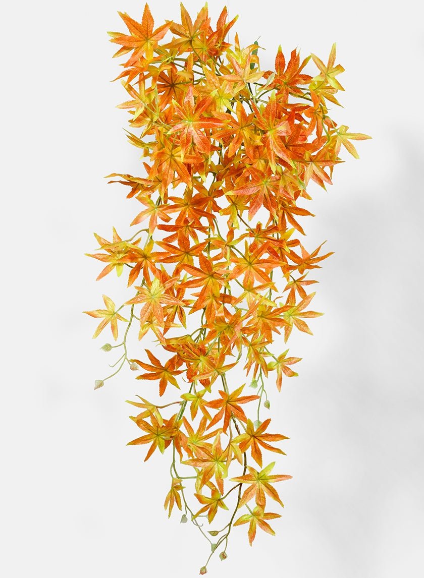 Orange Maple Leaf Bush