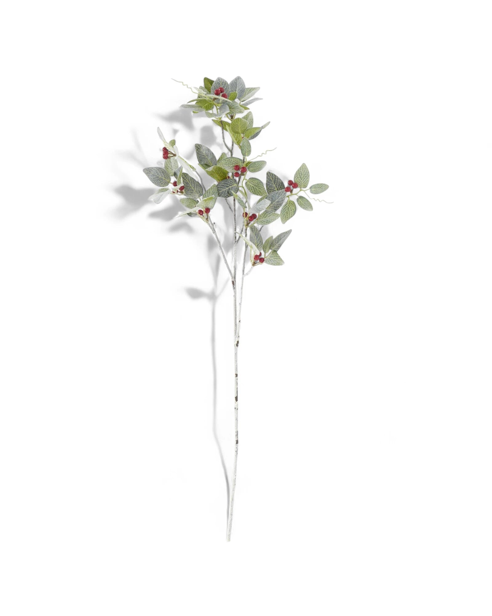36 Inch Glittered Flocked Fittonia Stem w/Red Berries