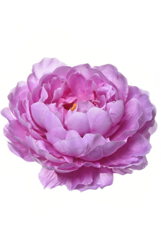 Peony Head