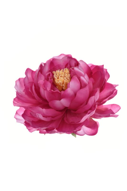 Peony Head