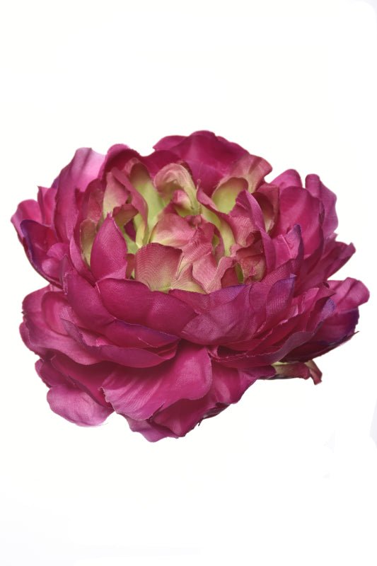 Peony Head