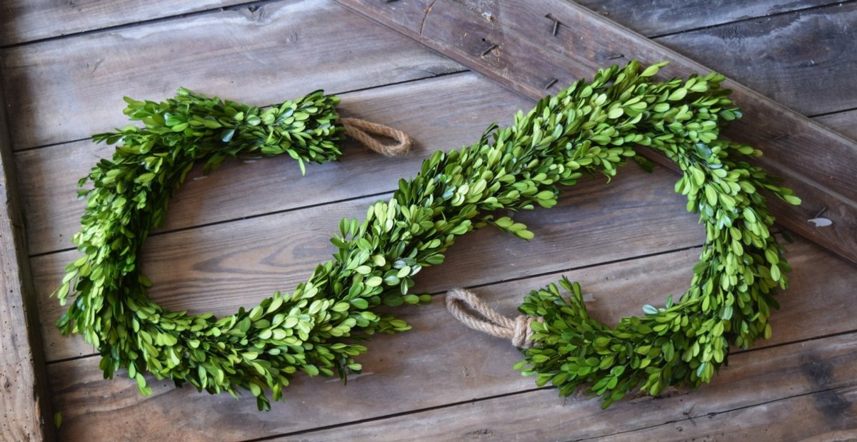 Preserved Boxwood Country Manor Garland - Drapery - 71 Inch