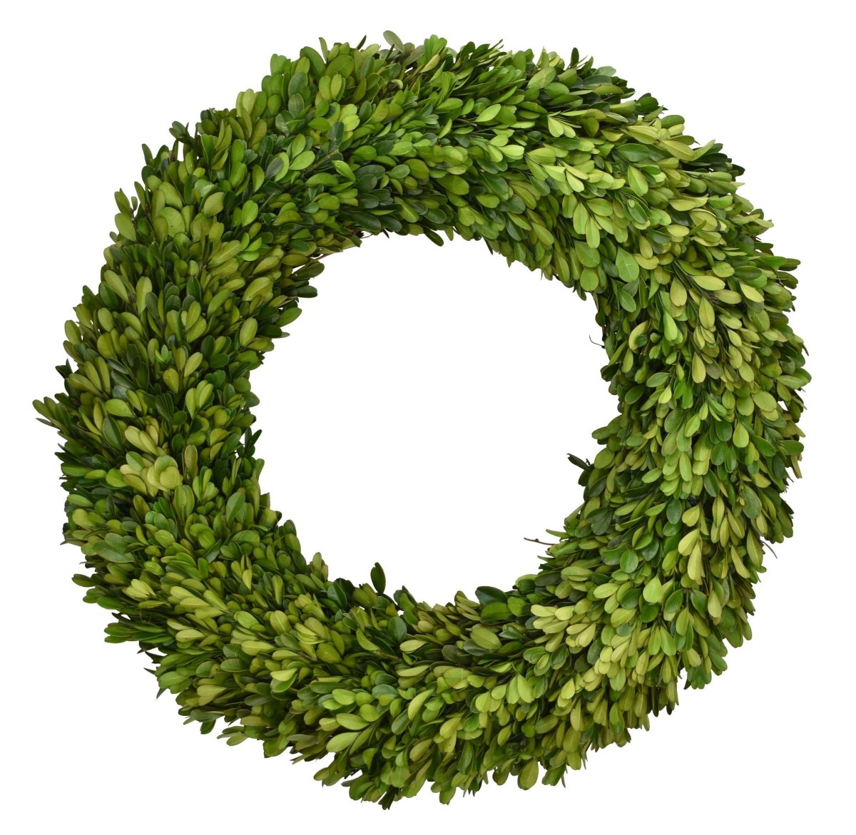 Preserved Boxwood Country Manor Wreath - Round - 24 Inch