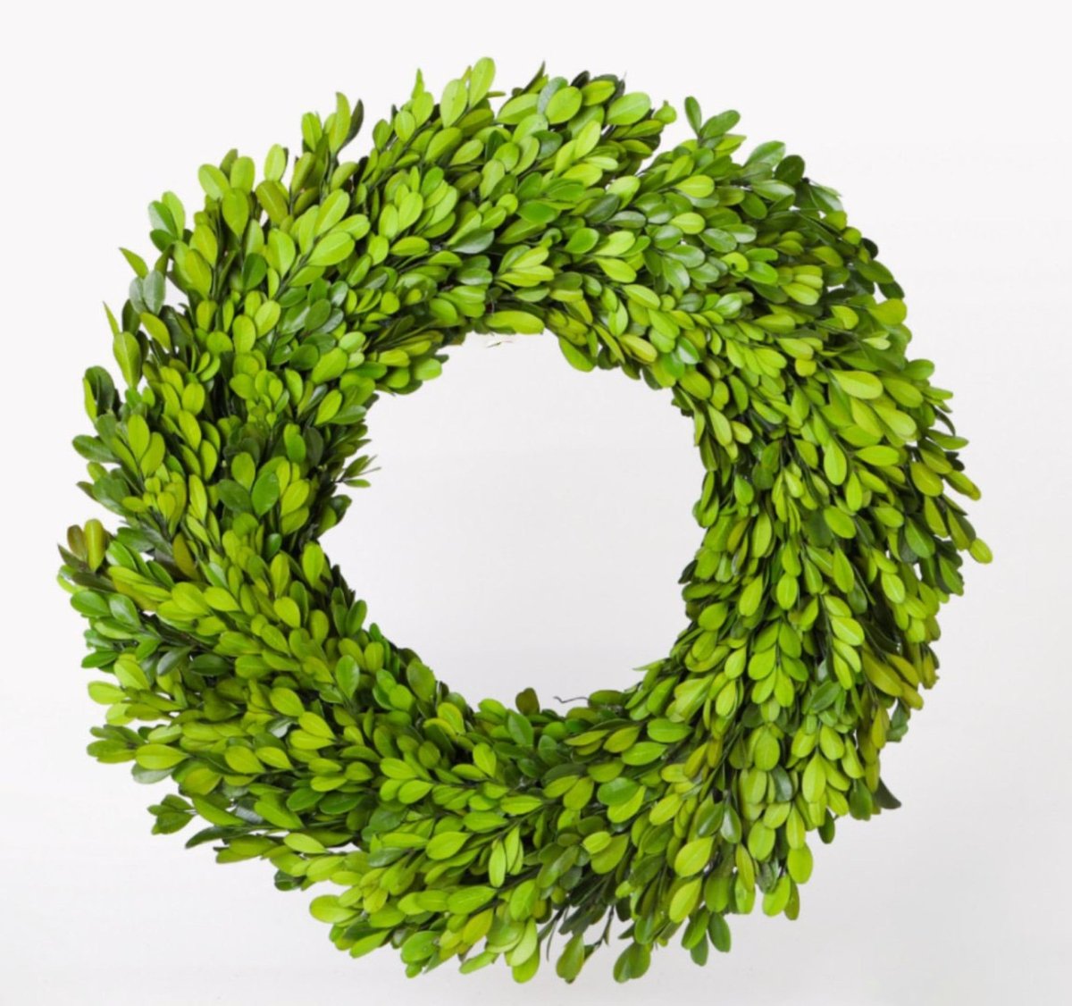 Preserved Boxwood Regal Wreath - 30 Inch