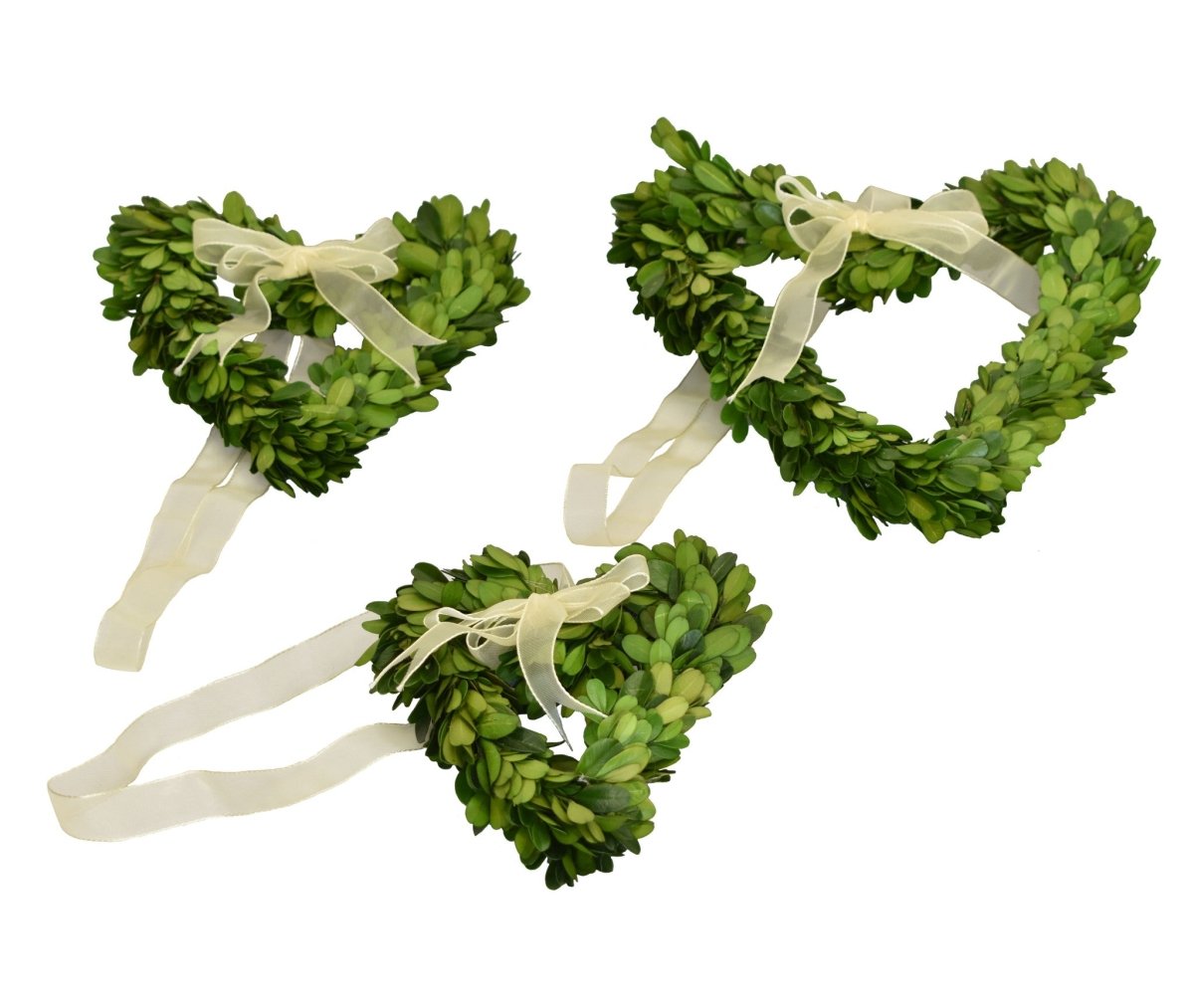 Preserved Boxwood Wreath - Hearts With Ribbon - 3 Piece Set