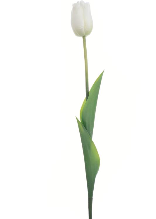 Real Touch 19 inch Single Tulip - Multiple Colors