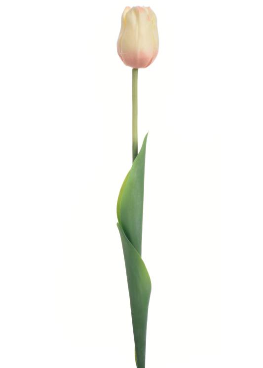 Real Touch 19 inch Single Tulip - Multiple Colors