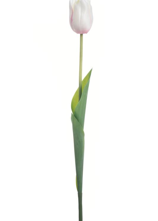 Real Touch 19 inch Single Tulip - Multiple Colors