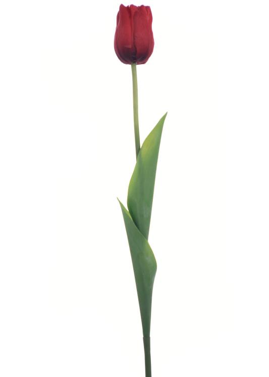 Real Touch 19 inch Single Tulip - Multiple Colors