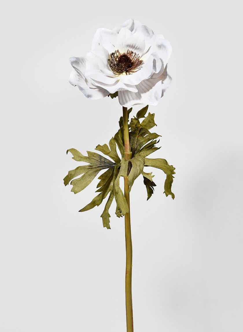 Single Anemone Spray, 13 ½ in