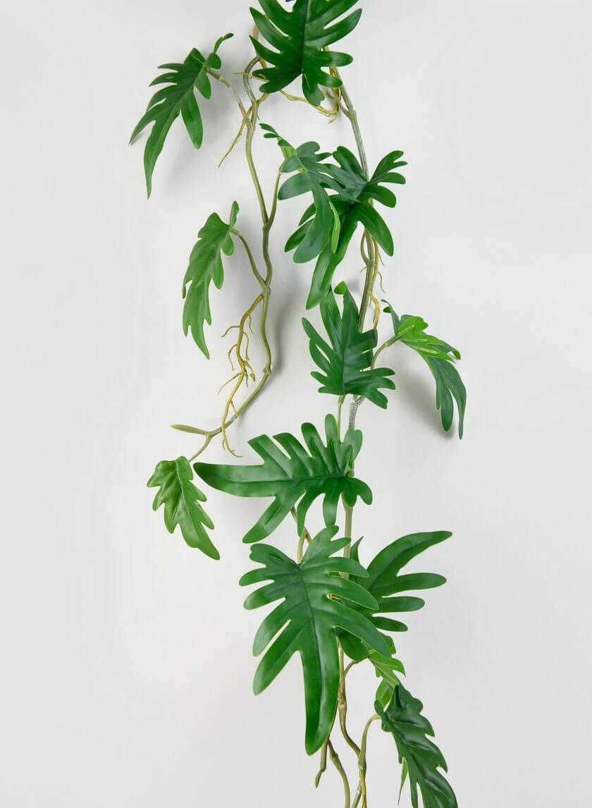 41 in Small Philodendron Leaf Vine