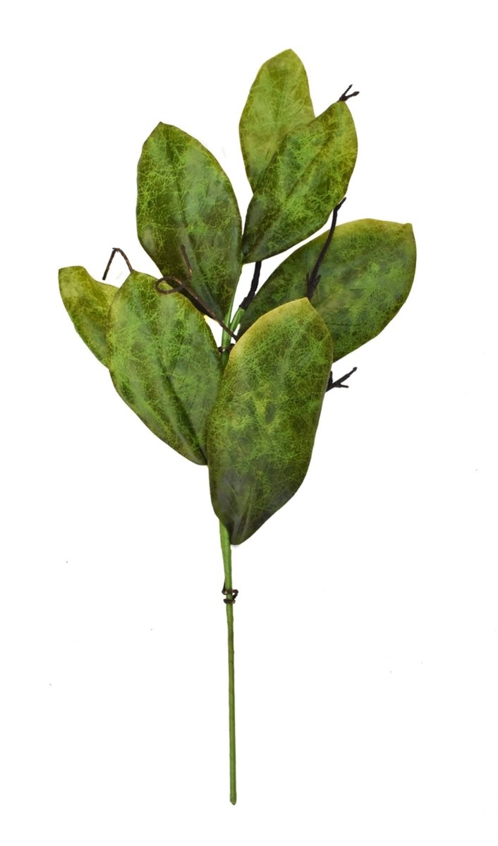 Southern Magnolia Leaf Spray - 22 Inch