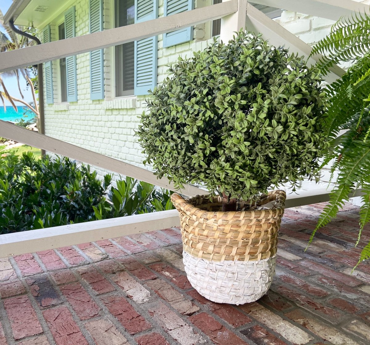 Uv Boxwood Ball 16 X 25" Topiary