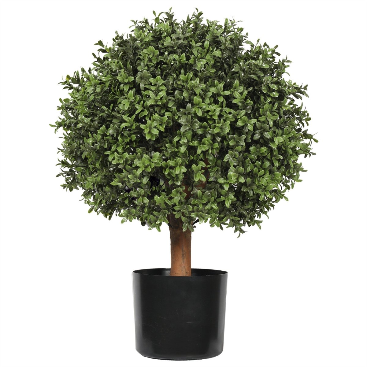 Uv Boxwood Ball 16 X 25" Topiary