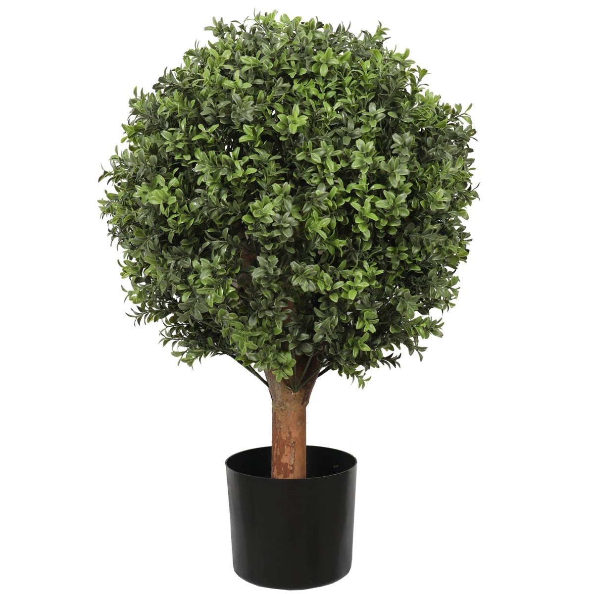 uv boxwood ball 20 x 30" topiary