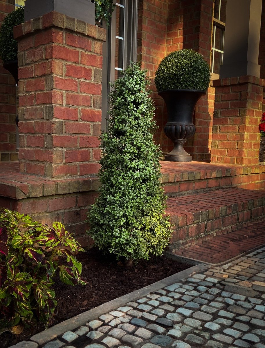 Uv Boxwood Cone 48" Topiary