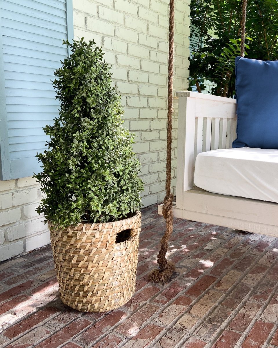 Uv Boxwood Cone Topiary - 36 Inch