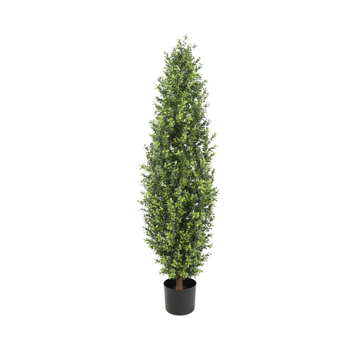 Uv Boxwood Shrub 48 Inch Topiary