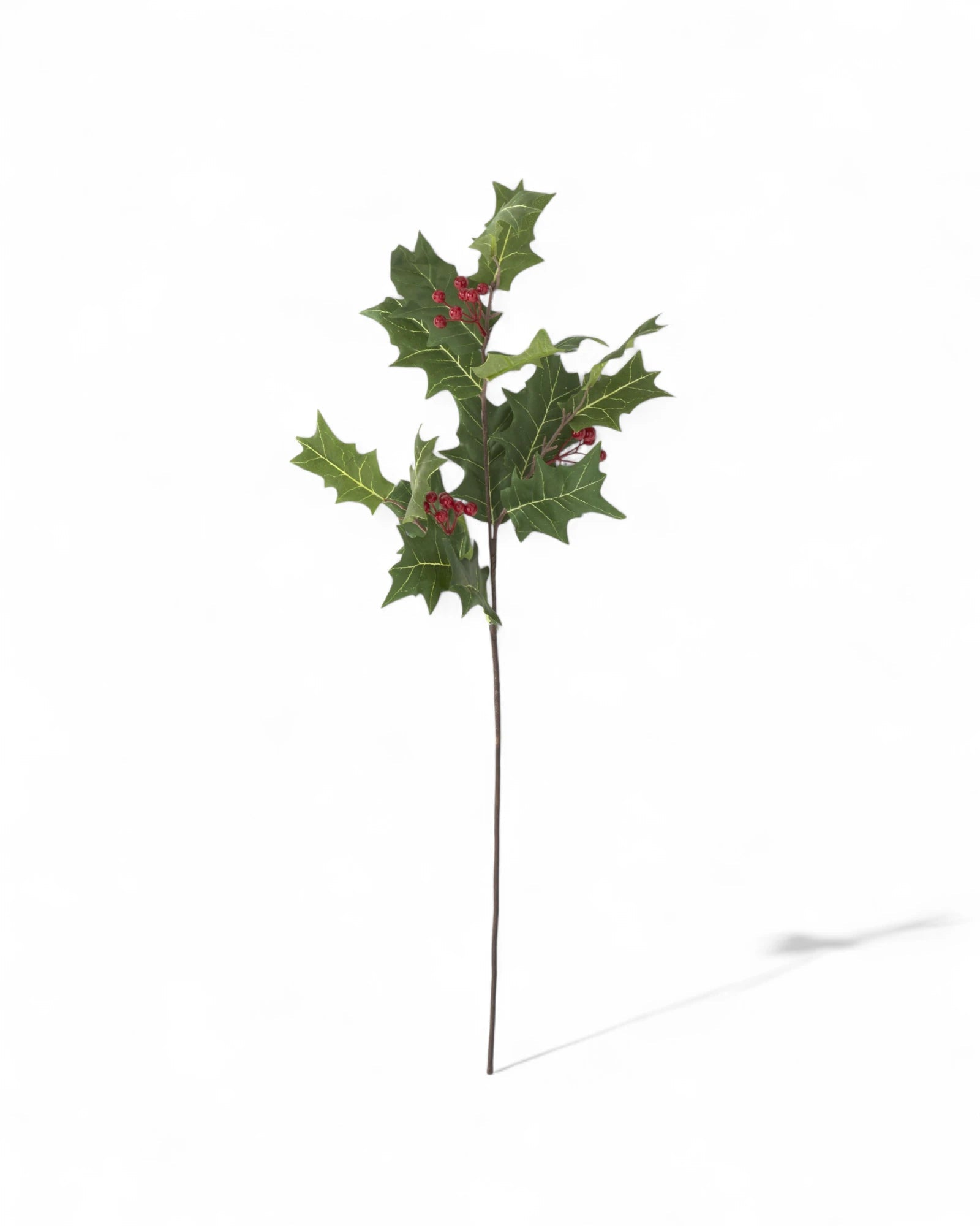 30 Inch Holly w/Red Berry Stem